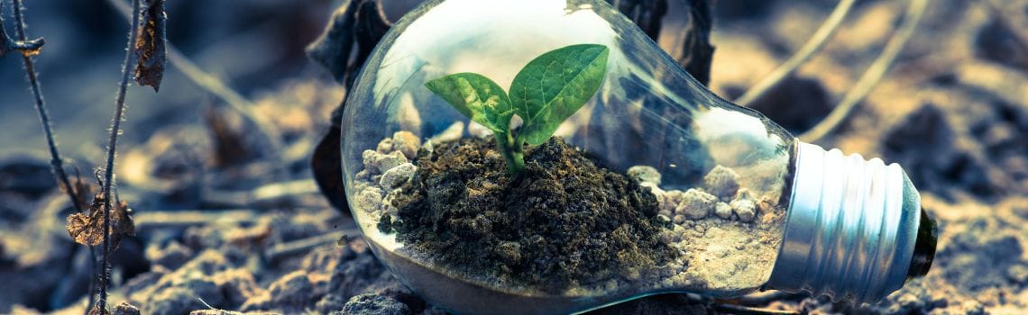 Umweltwissenschaften Profil Header Bild