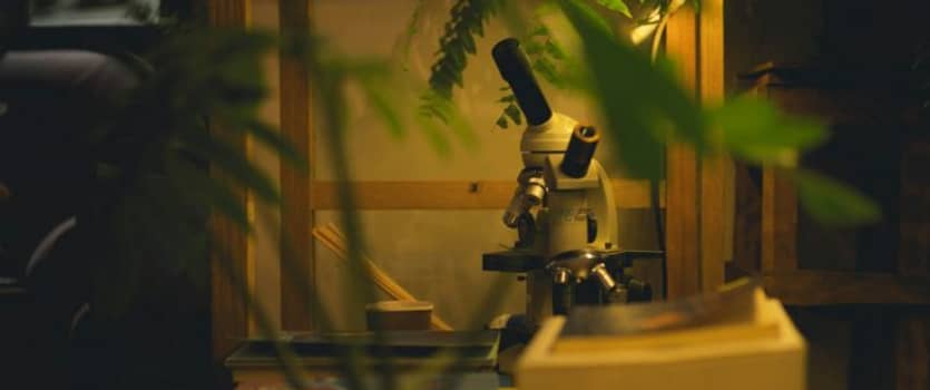Mein Start ins Biologiestudium