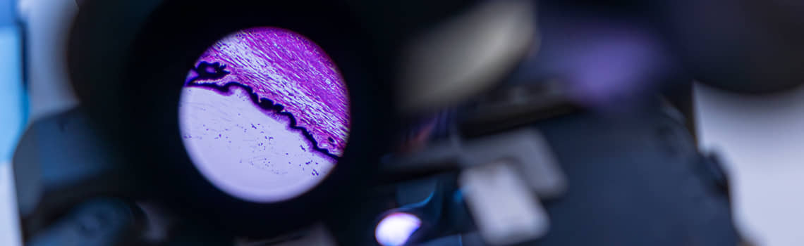 Biomedizin Profil Header Bild