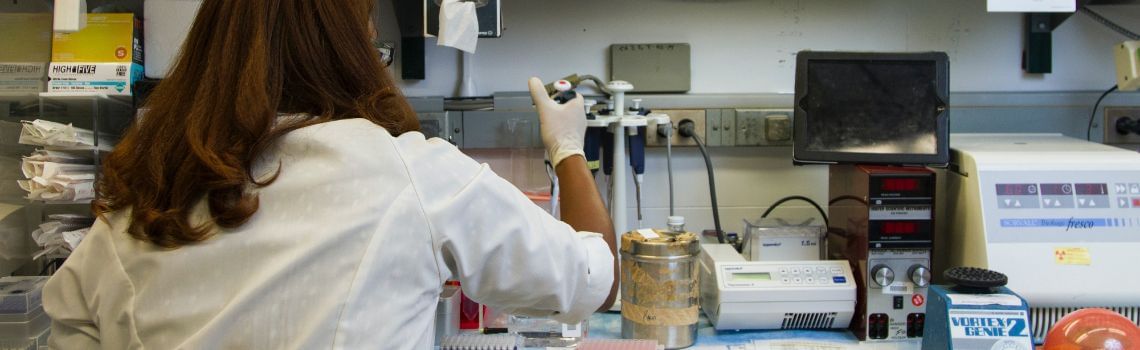 Naturwissenschaften Profil Header Bild