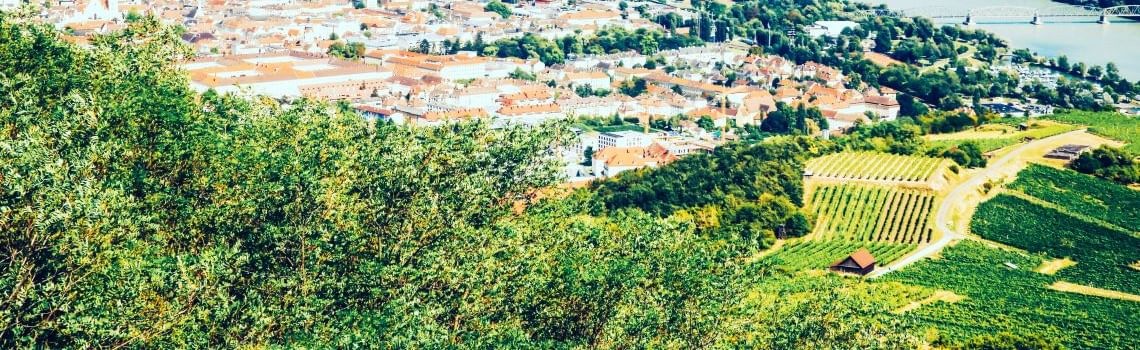 Physiotherapie Profil Header Bild