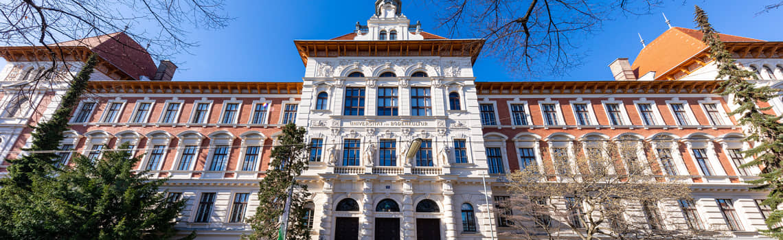 Masterstudium Weinbau, Önologie und Weinwirtschaft Profil Header Bild