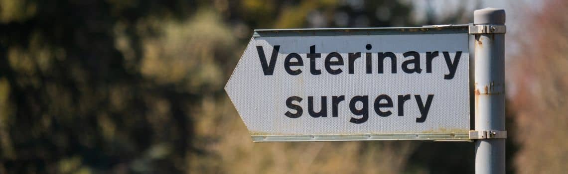 Veterinärmedizin Profil Header Bild