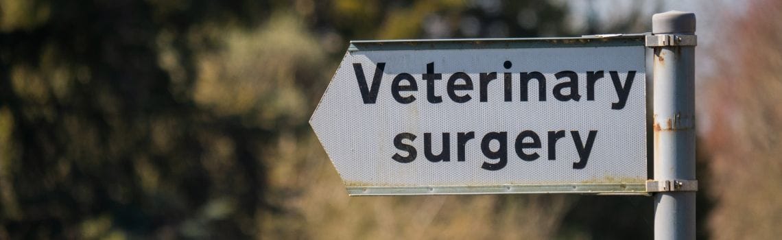 Veterinärmedizin Profil Header Bild