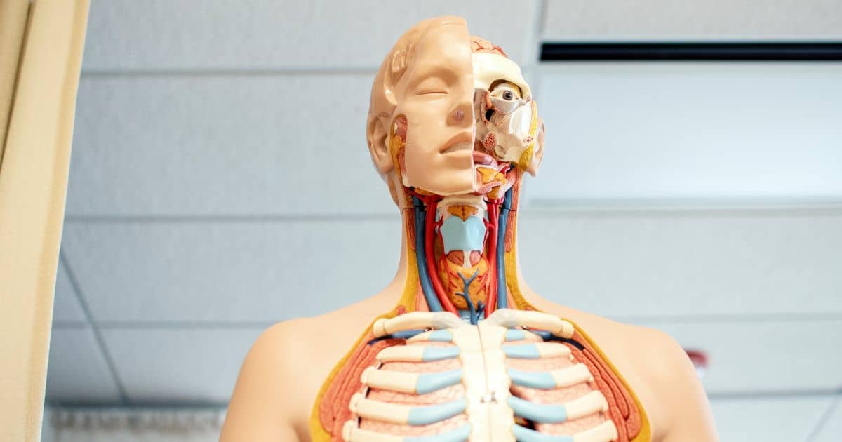 Biomedizin Profil Header Bild