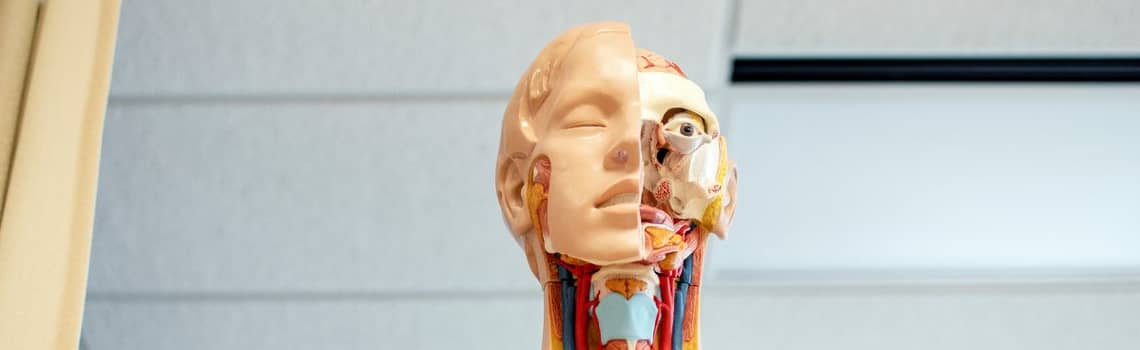 Biomedizin Profil Header Bild