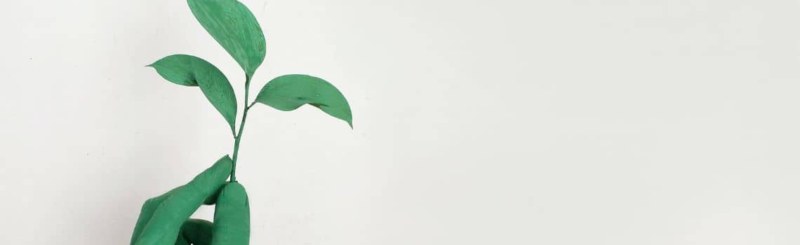 Umweltsystemwissenschaften Profil Header Bild