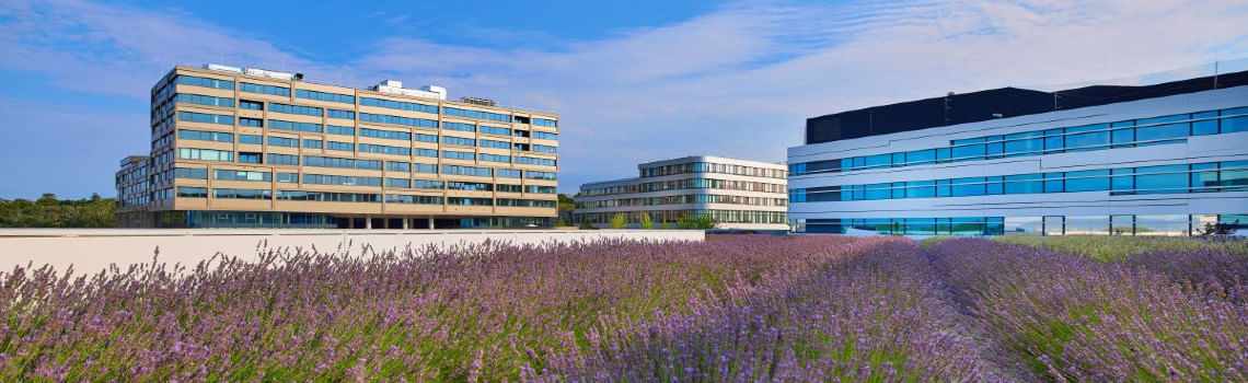 Molecular Biotechnology Rabatte Profil Header Bild