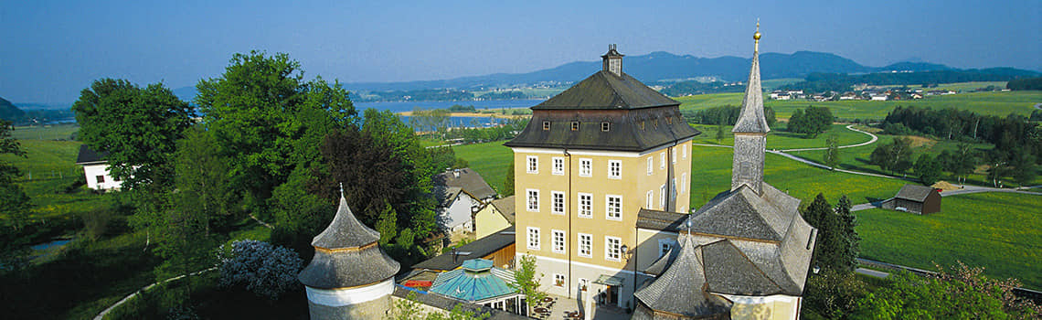 Wirtschaftspsychologie Profil Header Bild