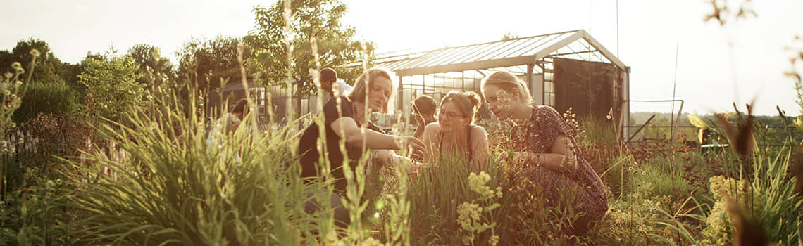 Hochschule Weihenstephan-Triesdorf Profil Header Bild