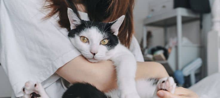 Veterinärmedizin – Das erwartet dich an der Freie Universität Berlin