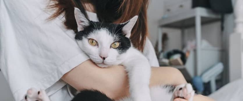 Veterinärmedizin – Das erwartet dich an der Freie Universität Berlin