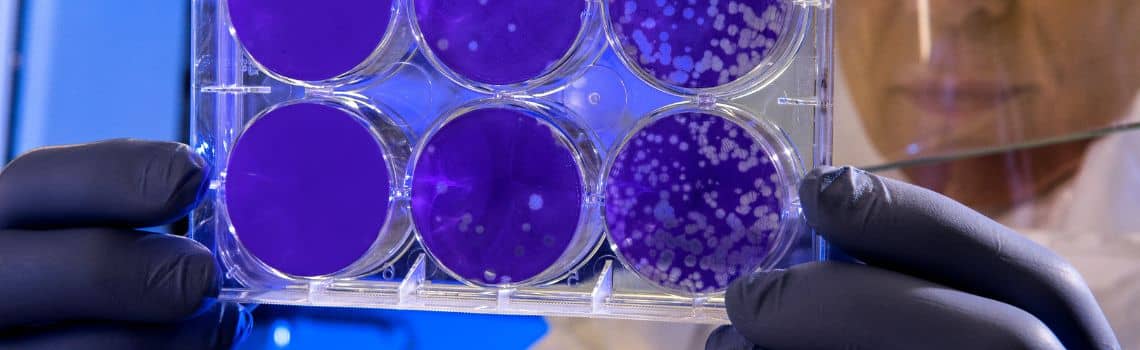 Biotechnologie Profil Header Bild