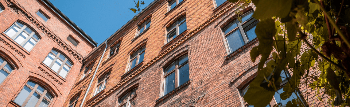 Digital Business University of Applied Sciences - Berlin Profil Header Bild