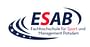 Management - Spezialisierung Sportmanagement Logo
