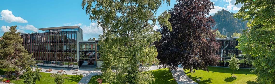 INTERNATIONAL BUSINESS MANAGEMENT VZ Profil Header Bild